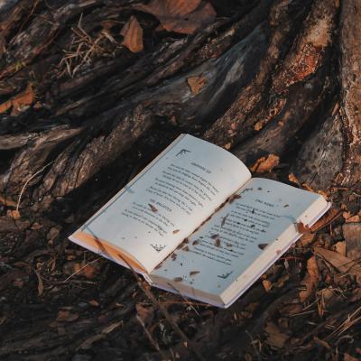 Novel1